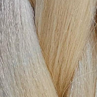 Blonde Bombshell - Pack of 5